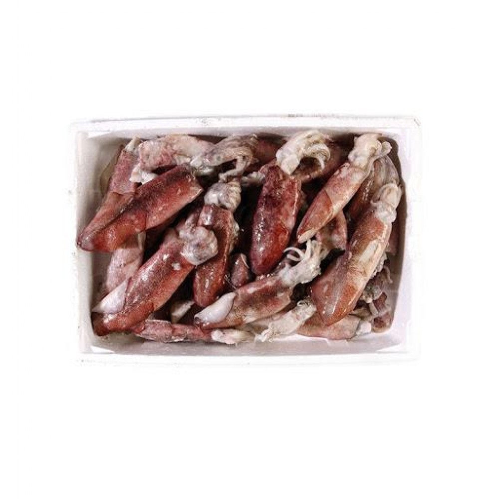 ΚΑΛΑΜΑΡΙ ΟΛΟΚ. U5 IQF 6 ΚΙΛΩΝ ΚΤΨ ΙΝΔΙΑΣ