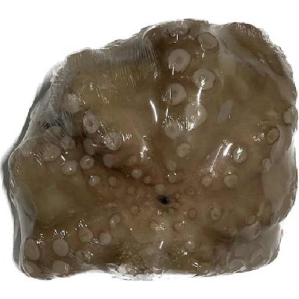 ΧΤΑΠΟΔΙ Τ3 2,5 ΚΙΛΩΝ ΣΥΡ/ΣΗ ΜΑΡΟΚΟΥ ΚΤΨ KALLIMANIS