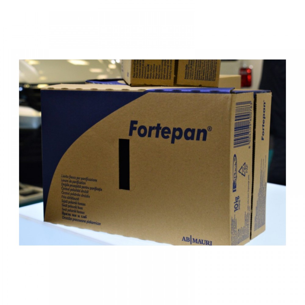 ΜΑΓΙΑ ΝΩΠΗ Κ/10 4x2,5 FORTEPAN MAURI
